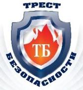 Трест безопасности логотип
